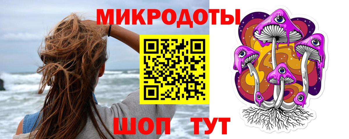Тара  Псилоцибиновые грибы Psilocybe  Вход с VPN 