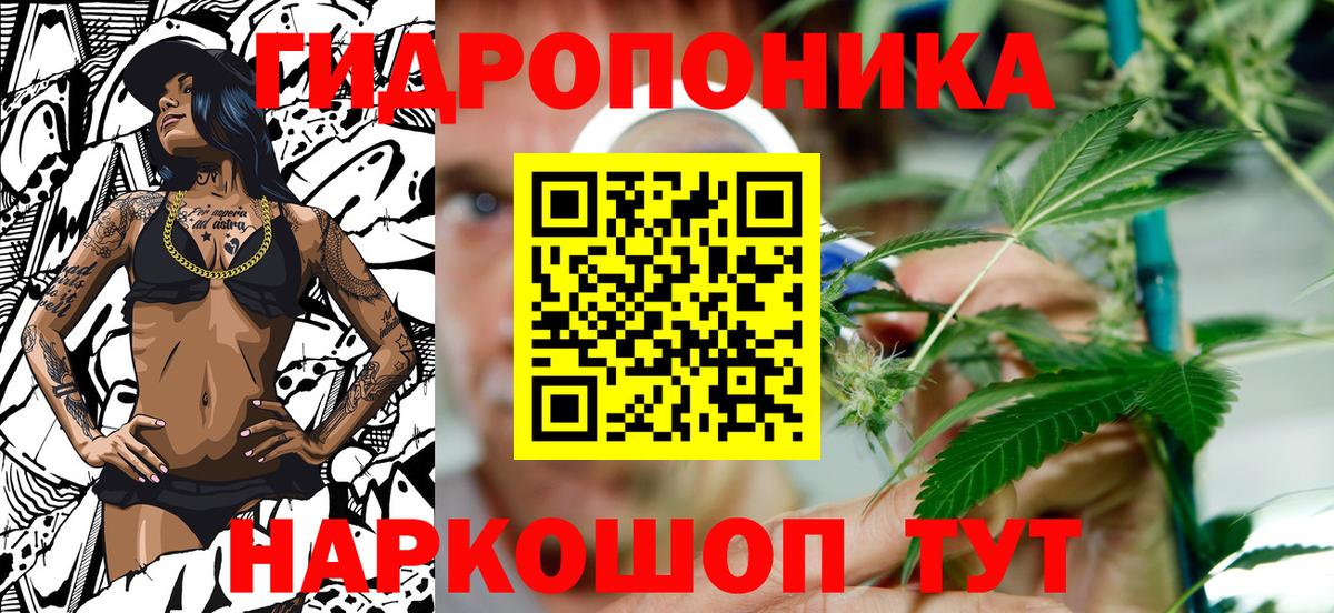 Бошки марихуана Ganja Тара